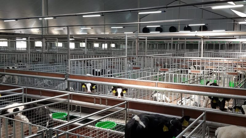 深圳shopify建站公司套餐价格