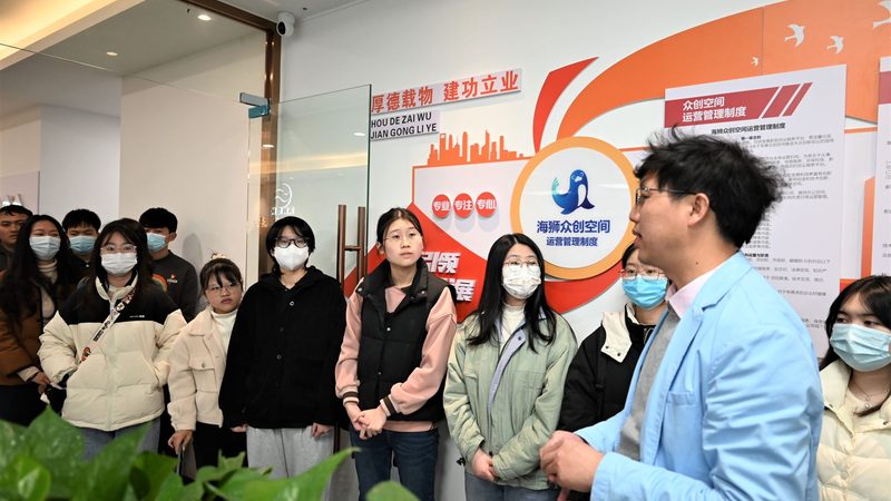 跨境电商独立站建站流程：新手必知的五大步骤